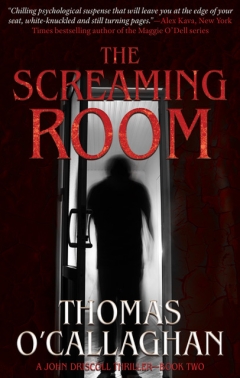 THE SCREAMING ROOM